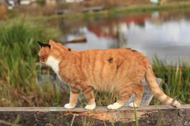 Similar image 10495505