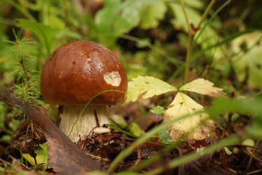 Similar image 10495506