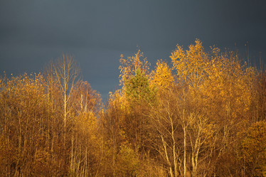 Similar image 10495507