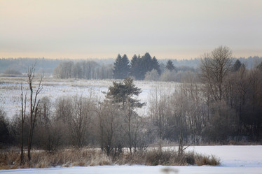 Similar image 10495515