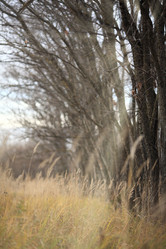 Similar image 10495520