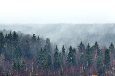 Similar image 10495521