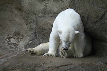 Similar image 10495529