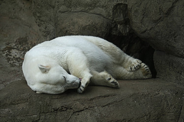 Similar image 10495531