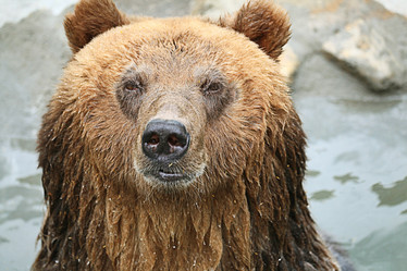 Similar image 10495533