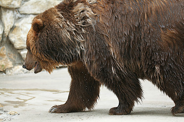 Similar image 10495535