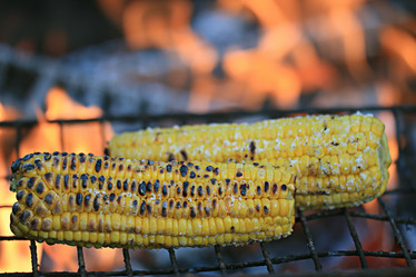 Similar image 10495547