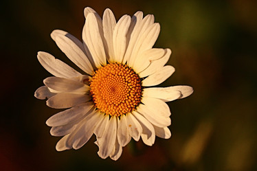 Similar image 10495549