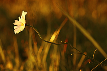 Similar image 10495551