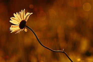 Similar image 10495553