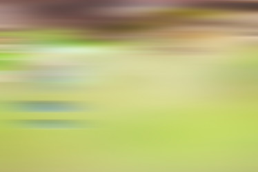 Similar image 10495573