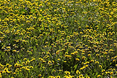 Similar image 10495580