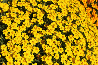 Similar image 10495599