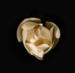 Similar image 10495600