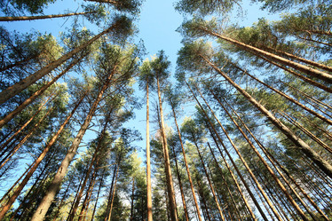 Similar image 10495606