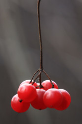 Similar image 10495610