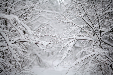 Similar image 10495611