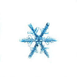 Similar image 10495612