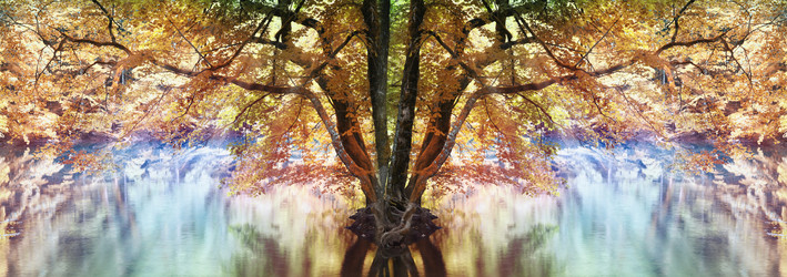 Similar image 10495643