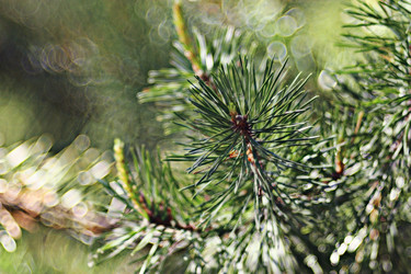 Similar image 10495645