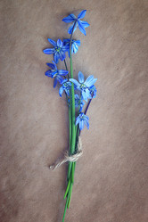 Similar image 10495648