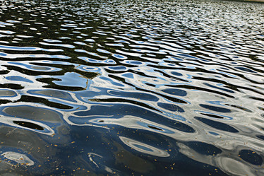 Similar image 10495649