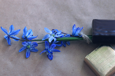 Similar image 10495650