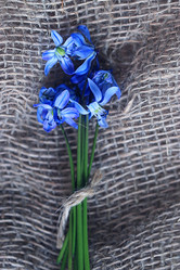 Similar image 10495653