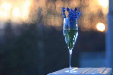 Similar image 10495657