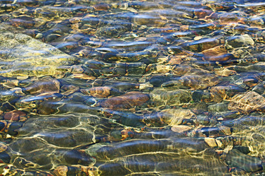 Similar image 10495660