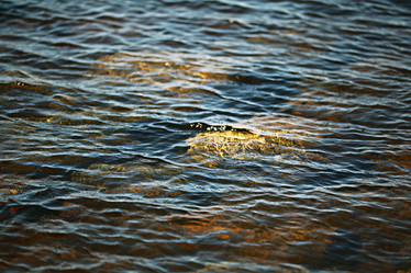 Similar image 10495661