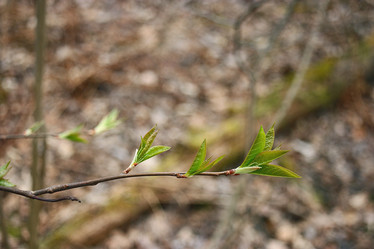 Similar image 10495669