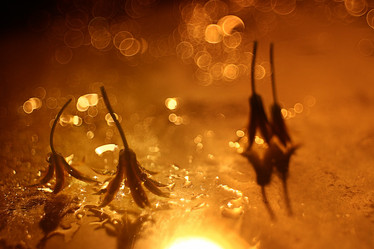 Similar image 10495674