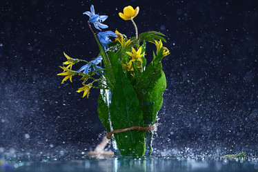 Similar image 10495675