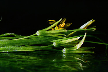 Similar image 10495677