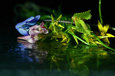 Similar image 10495678