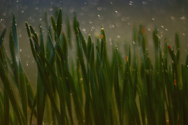 Similar image 10495681