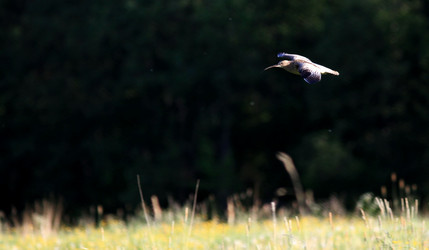 Similar image 10495686