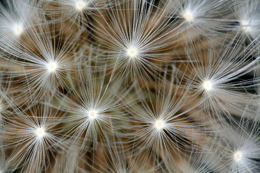 Similar image 10495687