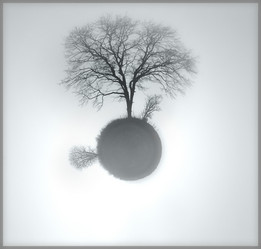 Similar image 10495688