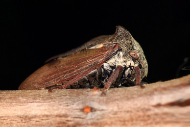 Similar image 10495691