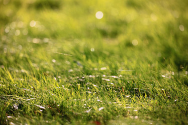 Similar image 10495694