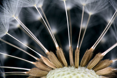 Similar image 10495695