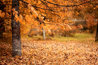 Similar image 10495697