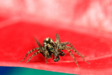 Similar image 10495698