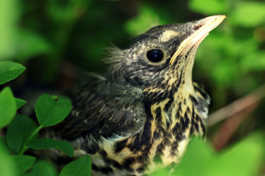 Similar image 10495699