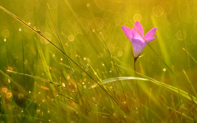 Similar image 10495700