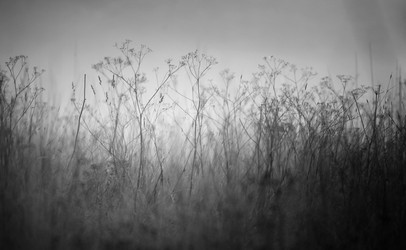 Similar image 10495704