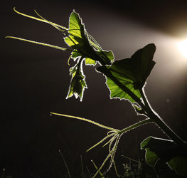 Similar image 10495705