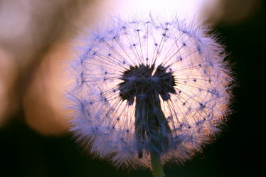 Similar image 10495706